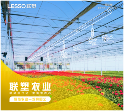 花卉种植入门指南 从选种到绽放