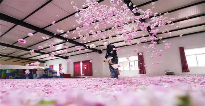 南通海安:栽下产业&ldquo;花&rdquo; 结出振兴&ldquo;果&rdquo;