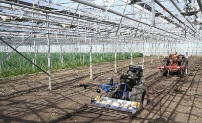 智能机器人大显身手 这些国家的植物工厂实现花卉种植全自动化