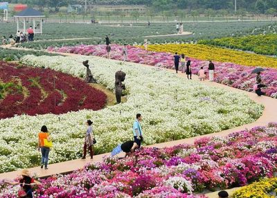 探索花卉旅游 花卉种植体验的六类核心产品