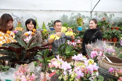 种下绿意，修养身心——新南幼儿园开展花卉种植活动
